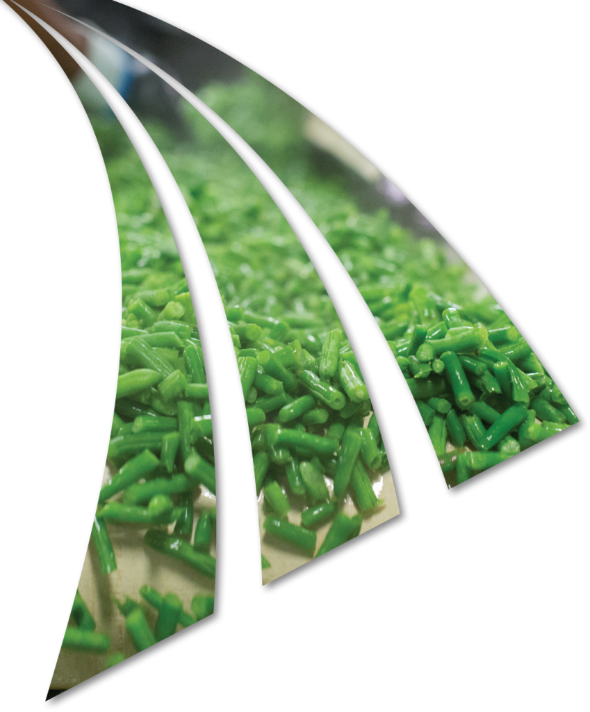 bfi_prodGrBeans-1
